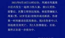 丹东凤城爆料案件最新情况,案情揭秘，疑云逐步揭开